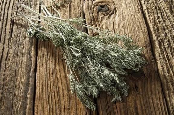 Pelin amar , pelin uscat , productie din cultura proprie