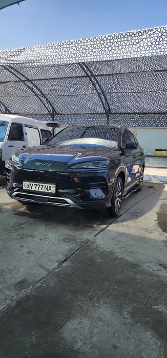 byd 605 champion