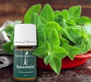 Ulei esential pur Menta verde (Spearmint) - Young Living