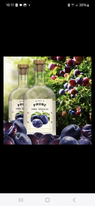 Prune de excepție cu un randament superior preț de producător!