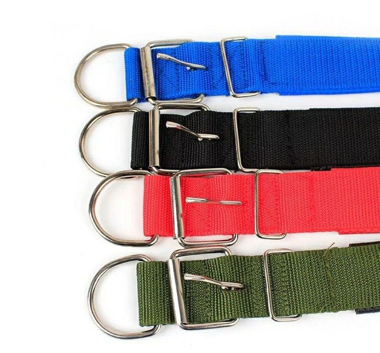 Zgarda verde câini mărime XL