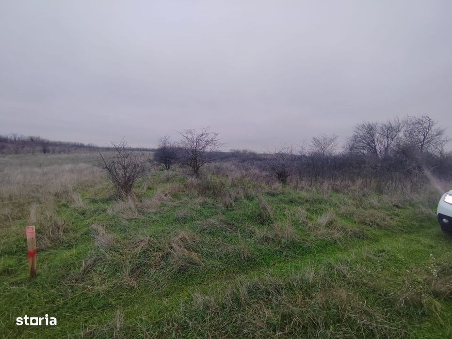 Teren extravilan Carcea - 2500 mp