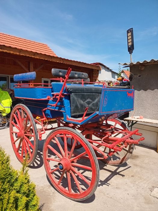 Trasura din lemn cu 6 locuri