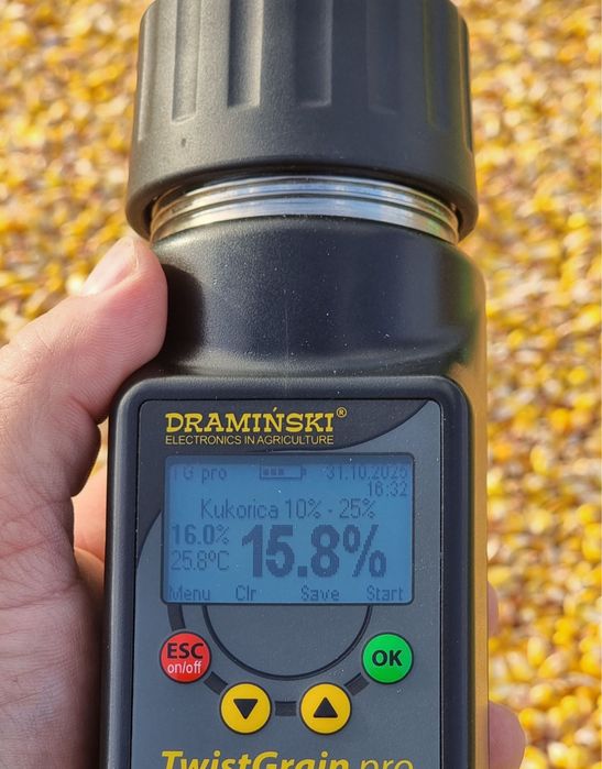 Porumb graunte uscate