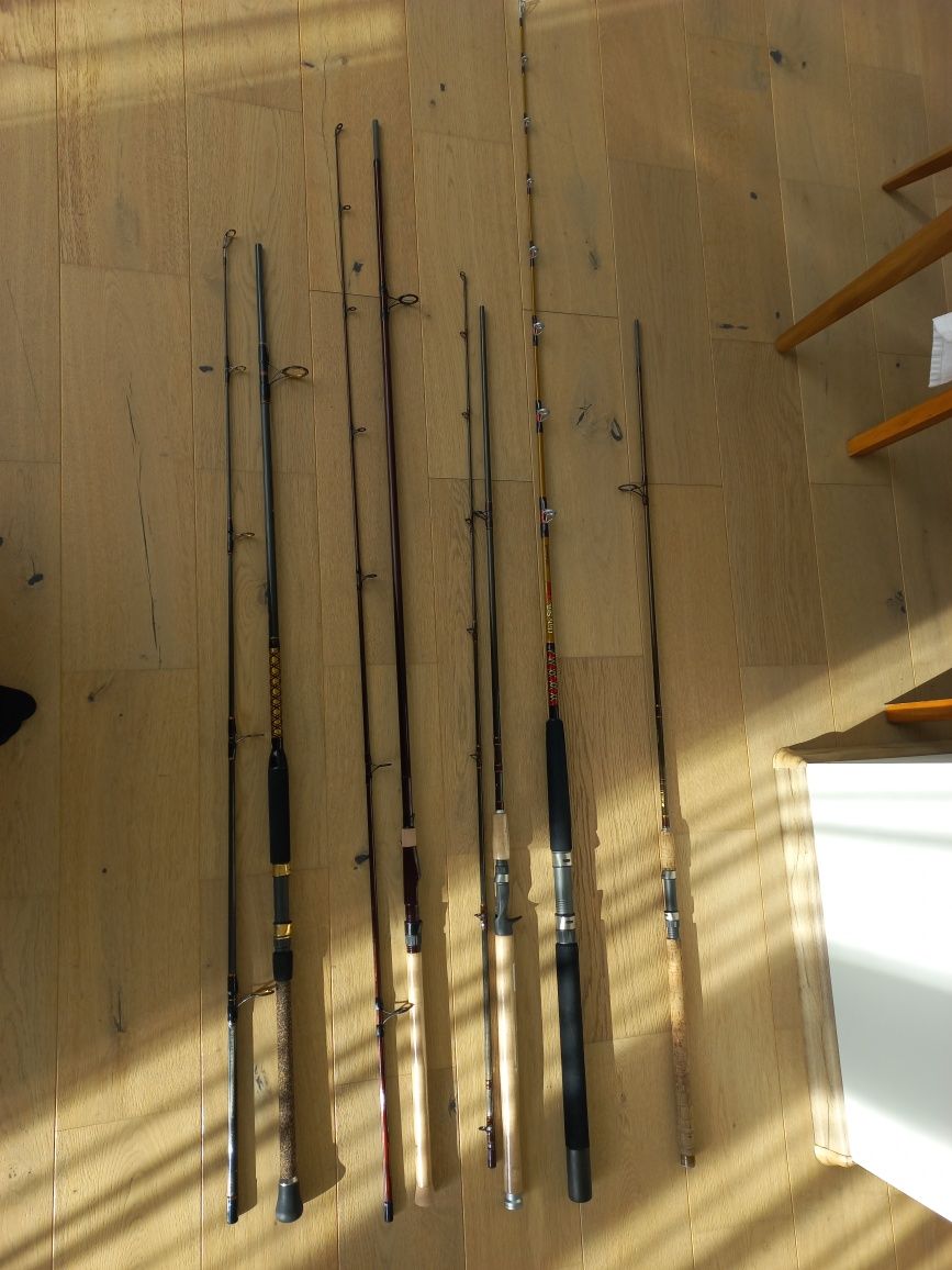 Риболовни пръчки, въдици Daiwa, Penn, Fox, Shakespeare,Rozemeljer

Cas