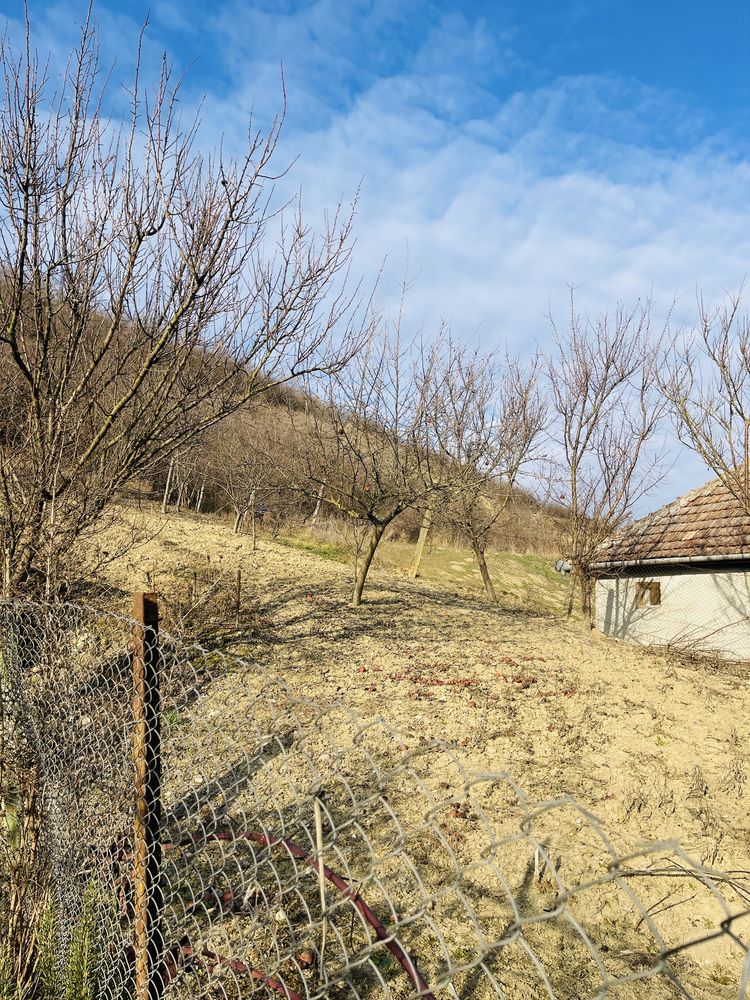 De vanzare casa in Lunca Muresului