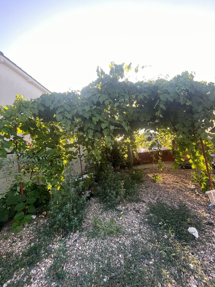 Casă de vânzare în Arad (Grădiște)