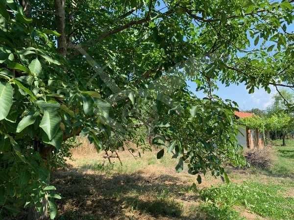 Продава се Парцел в с. Горна махала, Област Пловдив - 1045 кв.м за 29 €/кв.м - Снимка #1