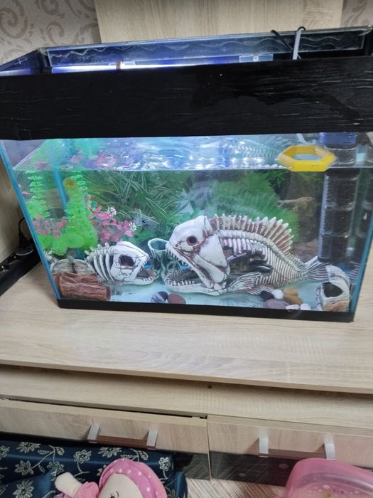 Продам аквариум  80л