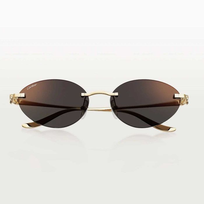 Дамски Очила Cartier CT0504S 2025 модел