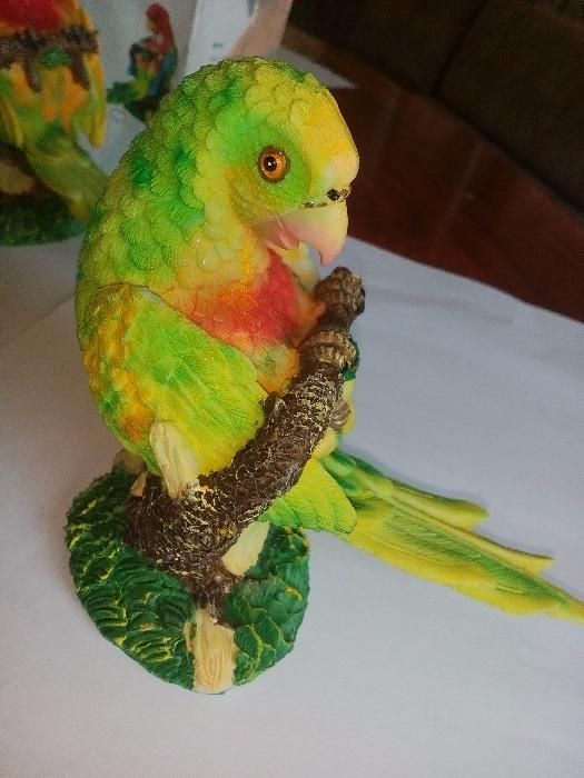 статоетка папагал