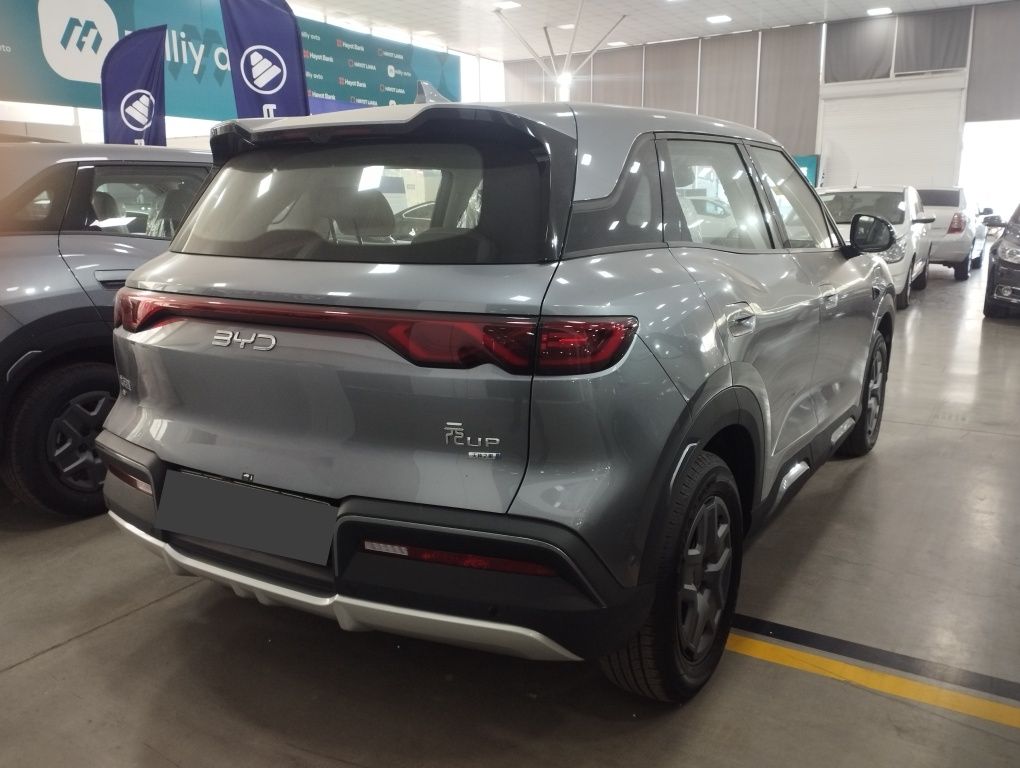BYD Smart Yuan Up 2025