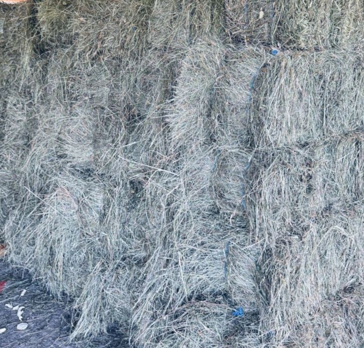 Baloți fân de gradina