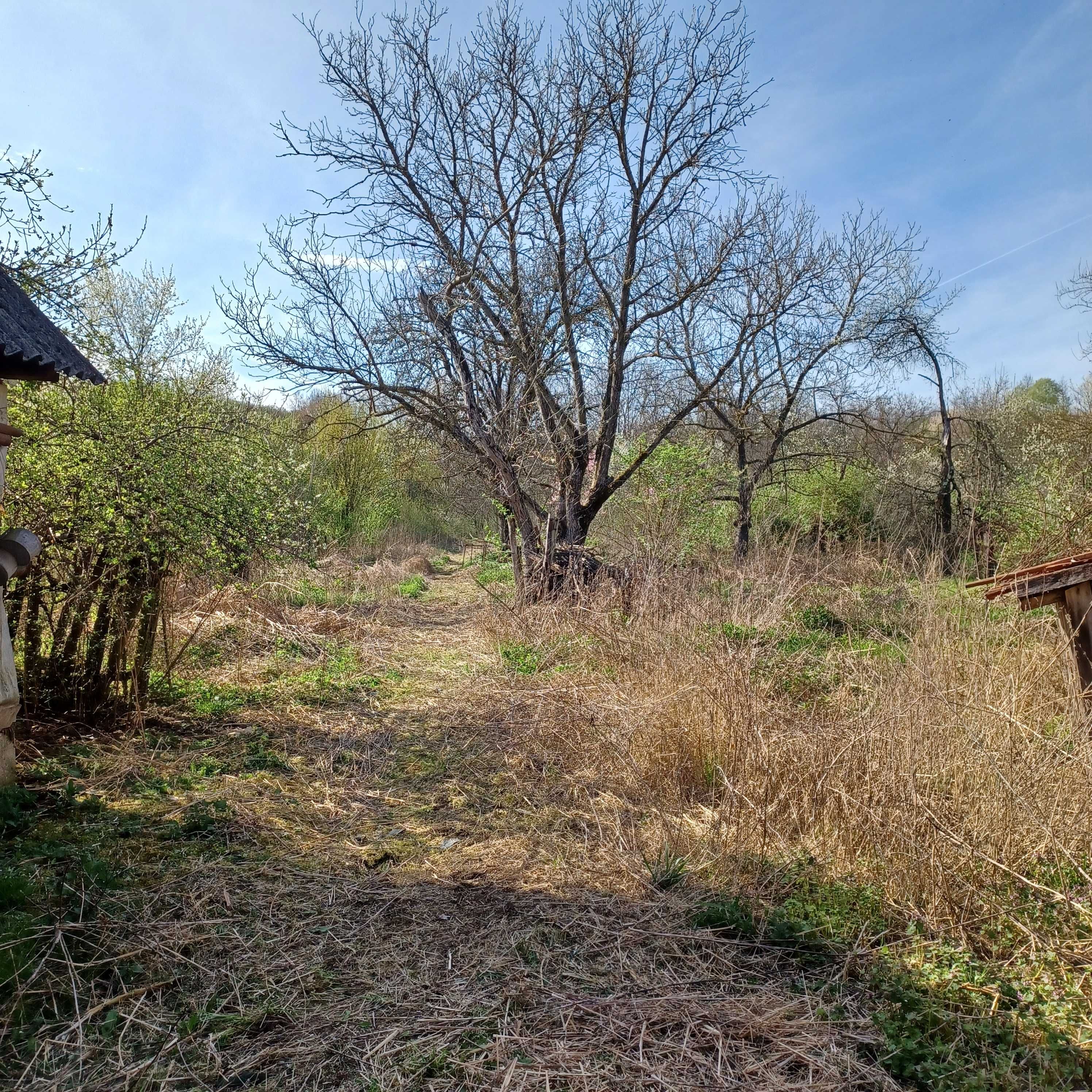 Vând casă în localitatea Julița, județul Arad