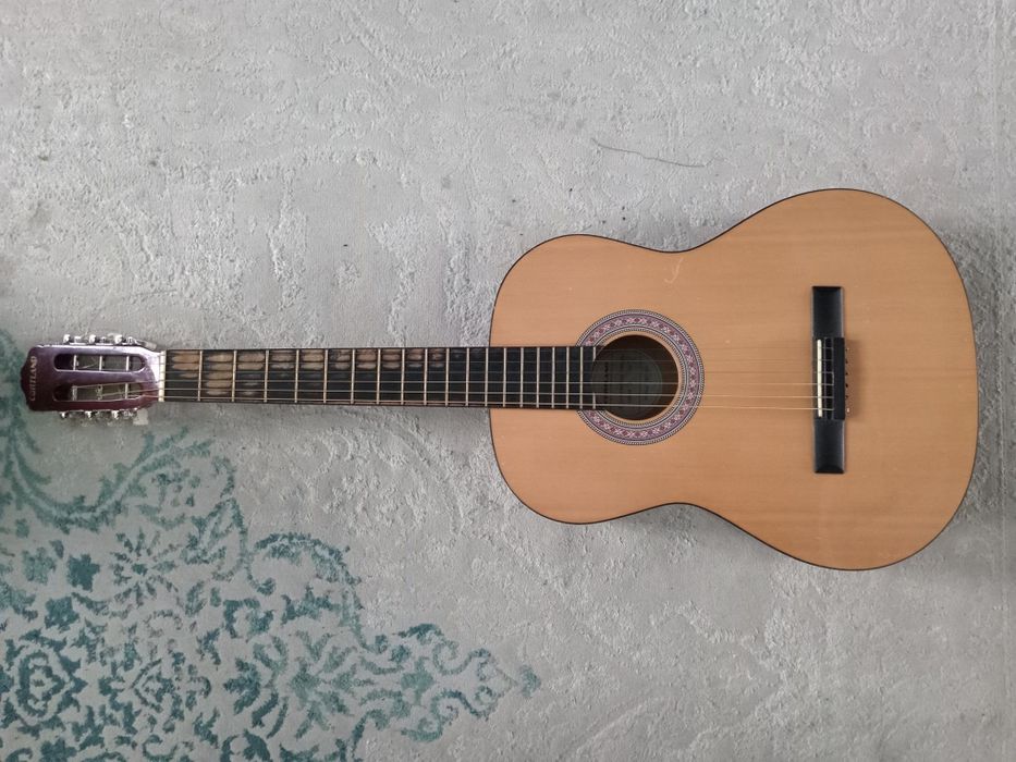 Гитара с чехлом.