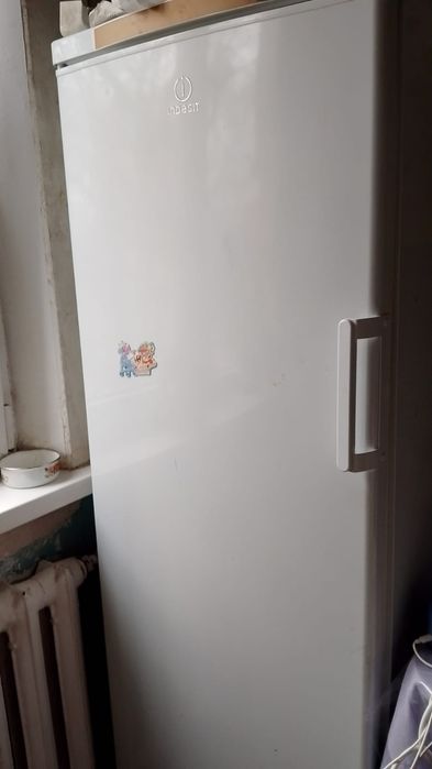 Отдам даром. Самовывоз