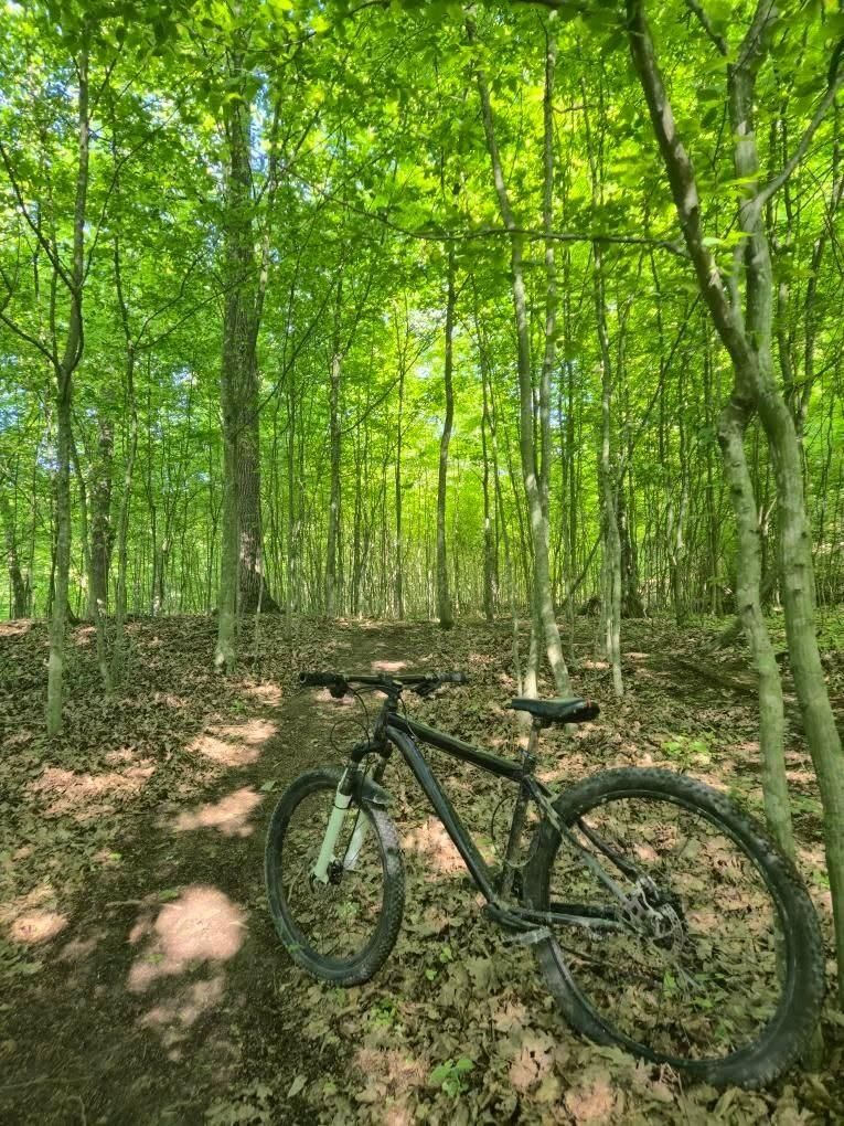 Vand/schimb  bicicletă Cannondale