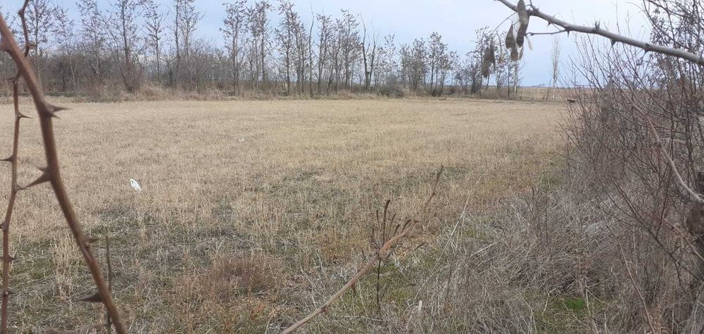 Vand teren intravilan 2600 mp 5 euro/mp