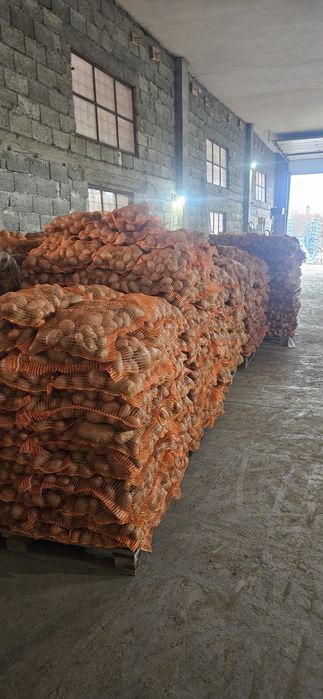 Cartofi de consum albi si roși