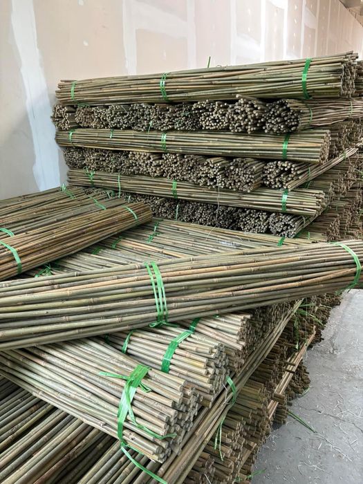 Колчета за укрепване на домати от БАМБУК естествени НА ПРОМОЦИЯ!