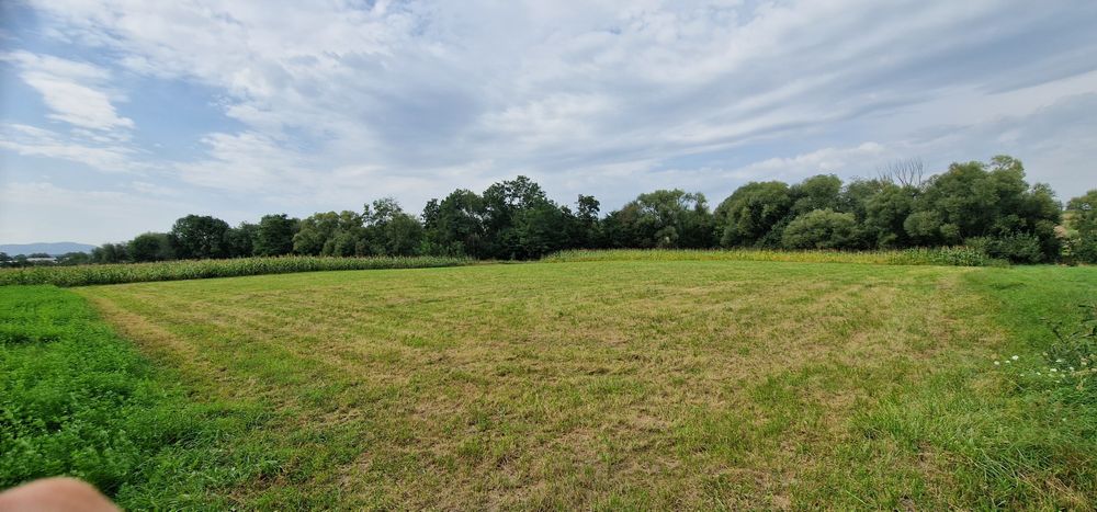 Terenuri intravilane alăturate 30 ari si 26 ari ideal casă sau arabil