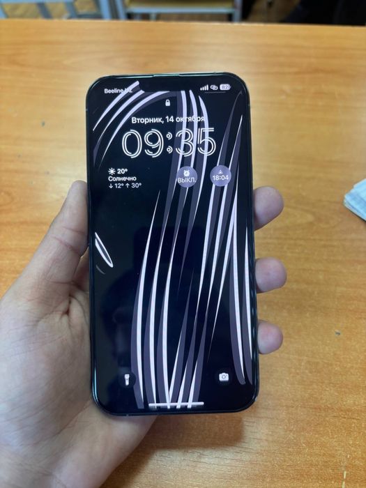 iPhone 13 pro max