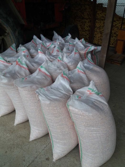 Porumb cultura 2025 uscat