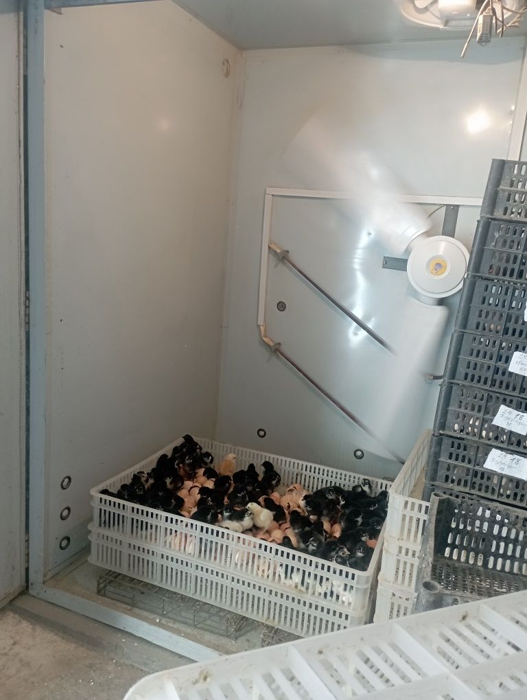 Ventilator patalochni Rossiski вентилятор парак