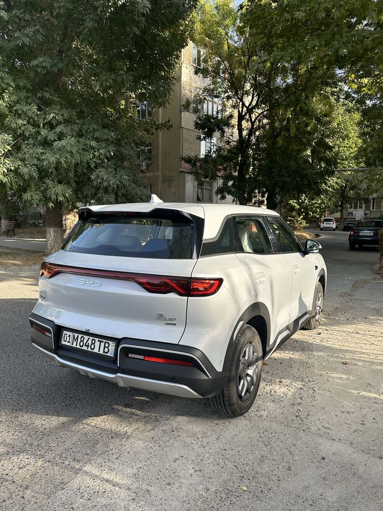 Byd yuan UP SMART 2 pozitsa nomer olingan