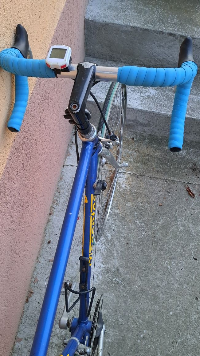 Bicicleta cursiera Viscontea