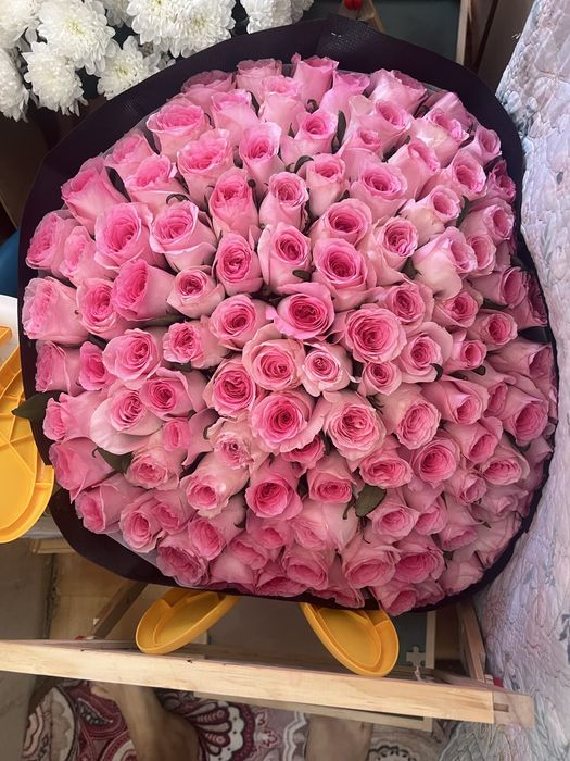 Роза 101 шт. Свежие .