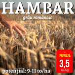 samanta grau HAMBAR, prebaza. Compania Seminte Fundulea