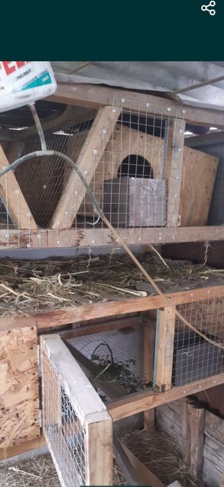 Клетки для кроликов