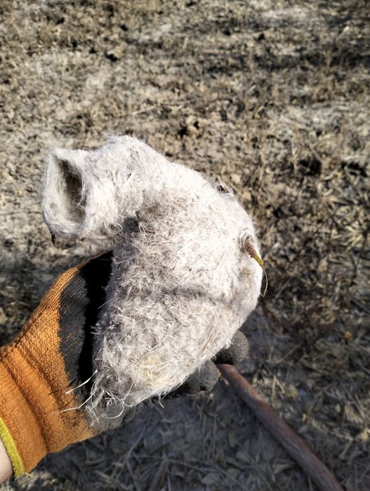 8в707в756в73а02 ватсап