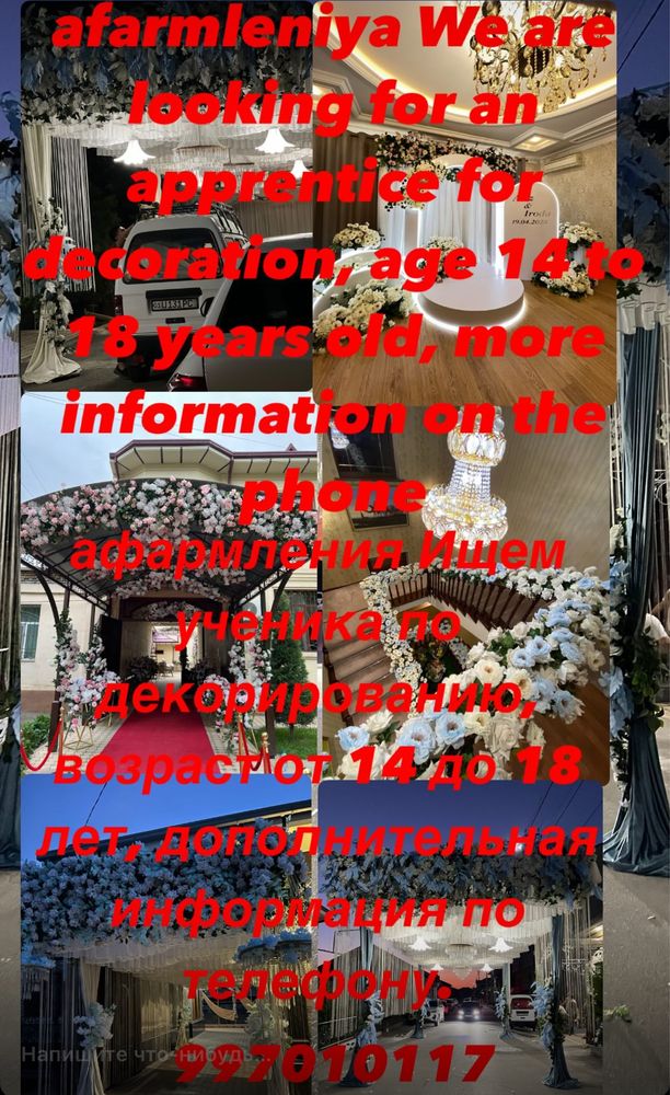 Afarmleniya toy marosim bezatish buyicha shogirt olamiz 18yoshgacha