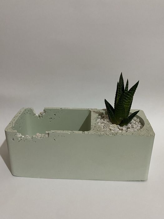 decor gul ofis uy guli