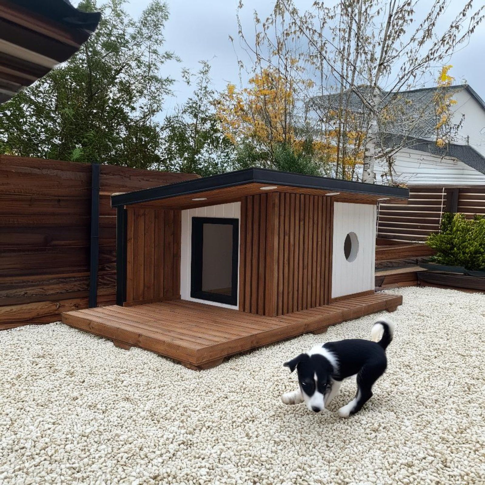 Edocusca -cusca caine, izolata si incalzita-accesorii caini-producator
