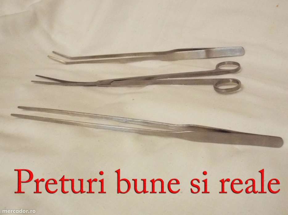 8URGENT : Foarfeca + pensete plante acvariu