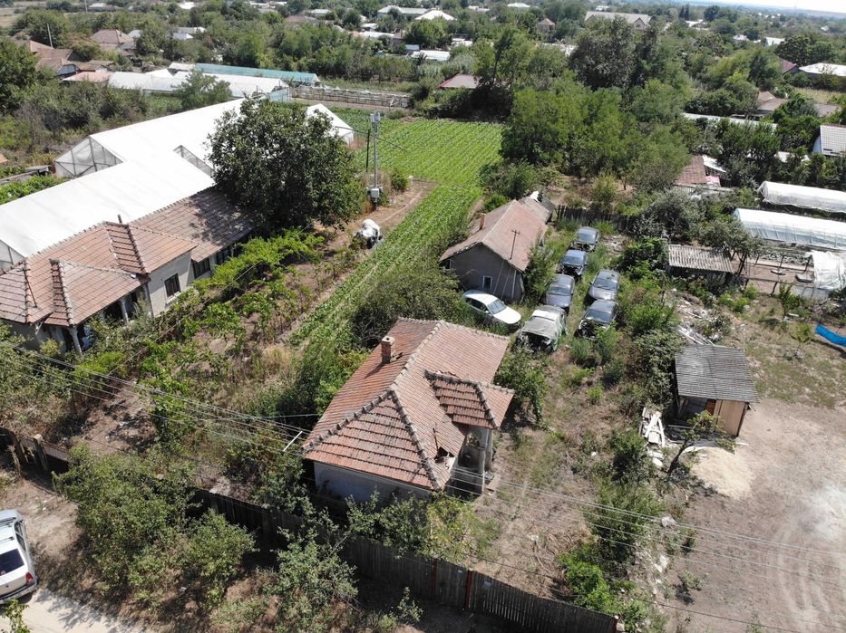 Teren in Com. Mârzănești, Sat Cernetu, 2000 mp 12km de Alexandria