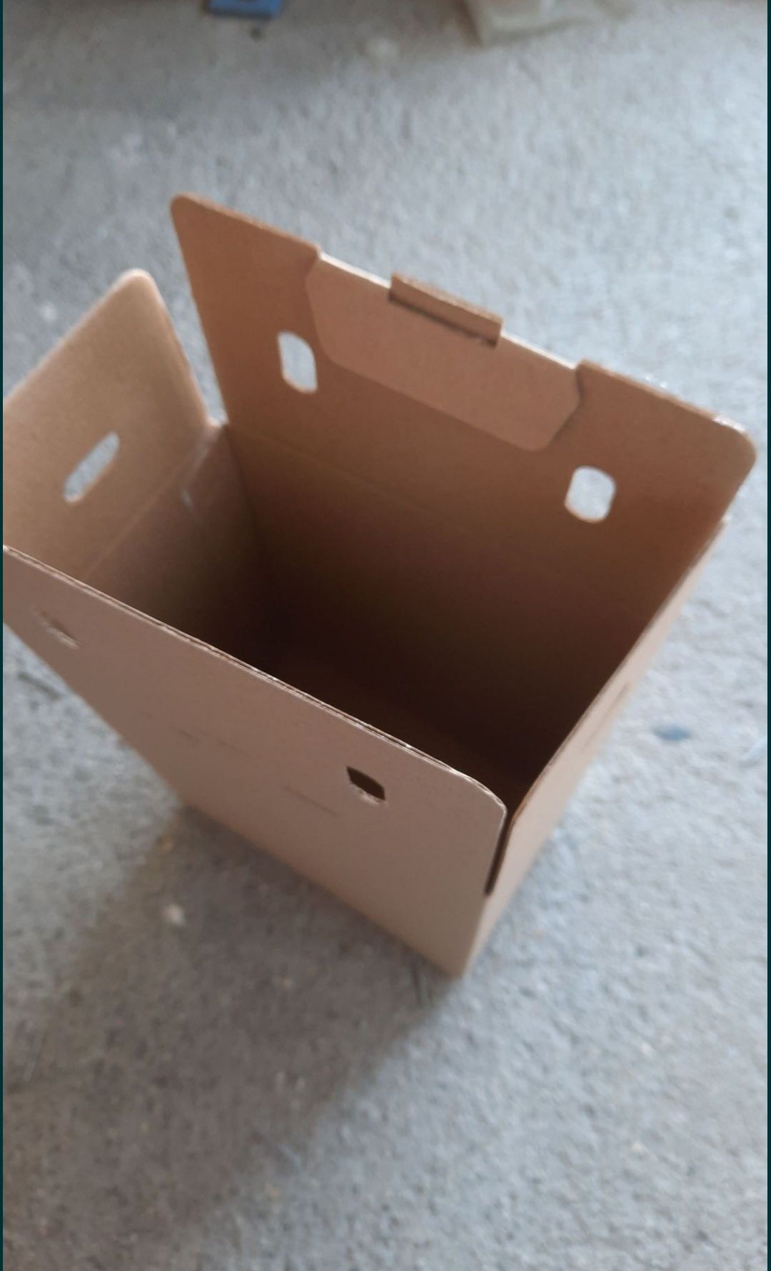 Cutii 3 litri Bag in Box