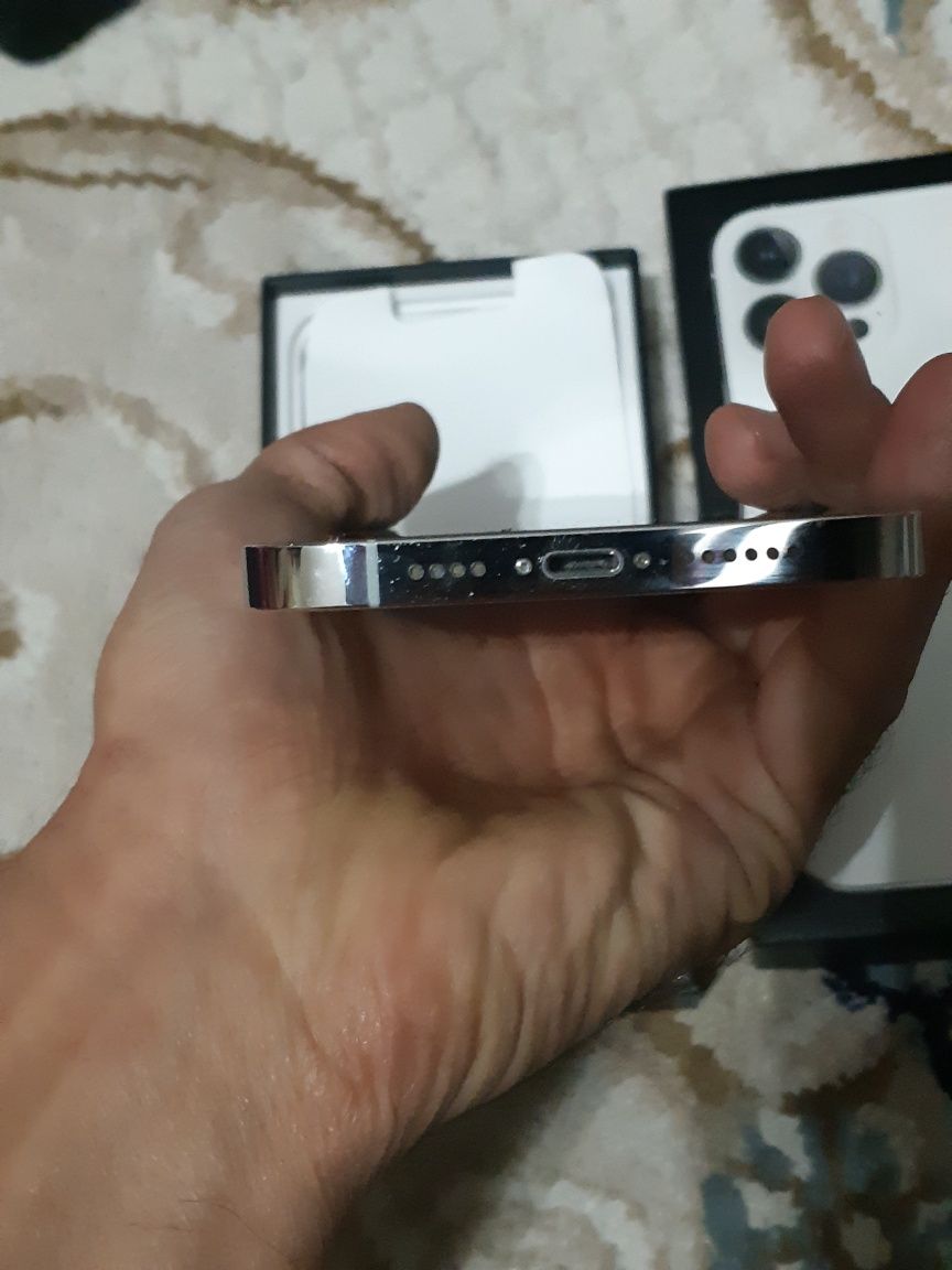 iPhone 13 pro max