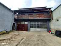 Casa de vanzare P+1 Rapoltu Mare, Hunedoara afacere sau locuit