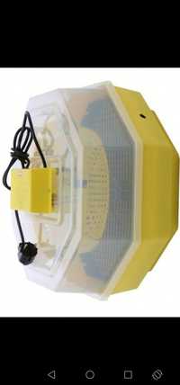 Incubator Eclozator Cleo 5