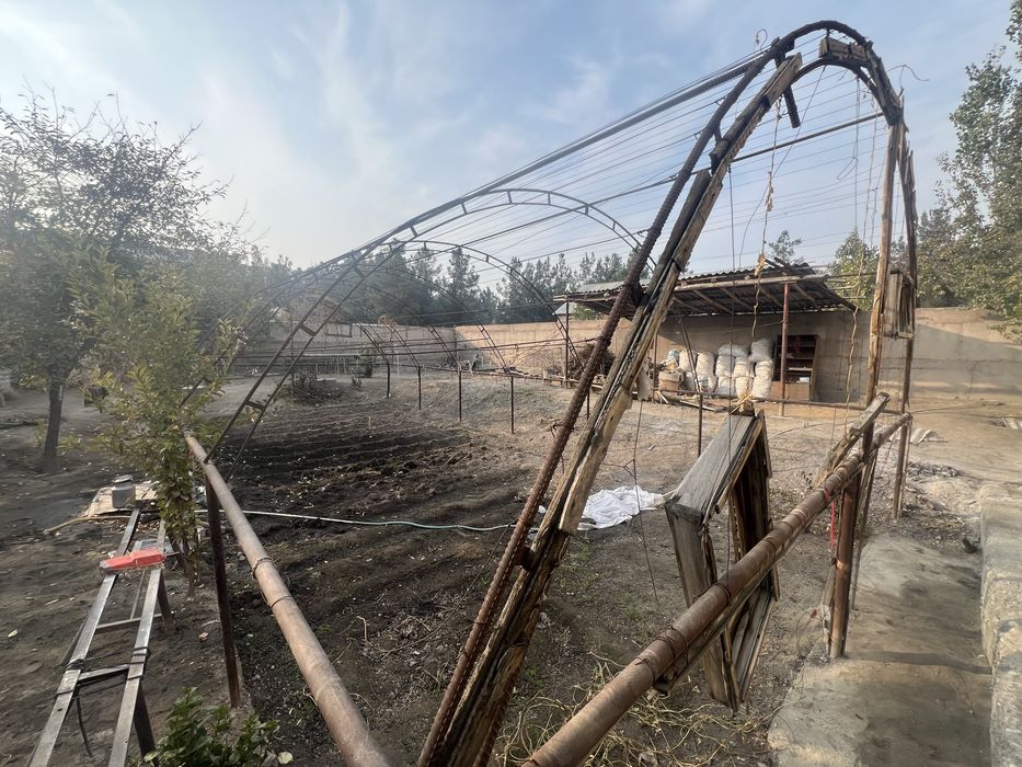 tayyor parnik almaturadan 22 li