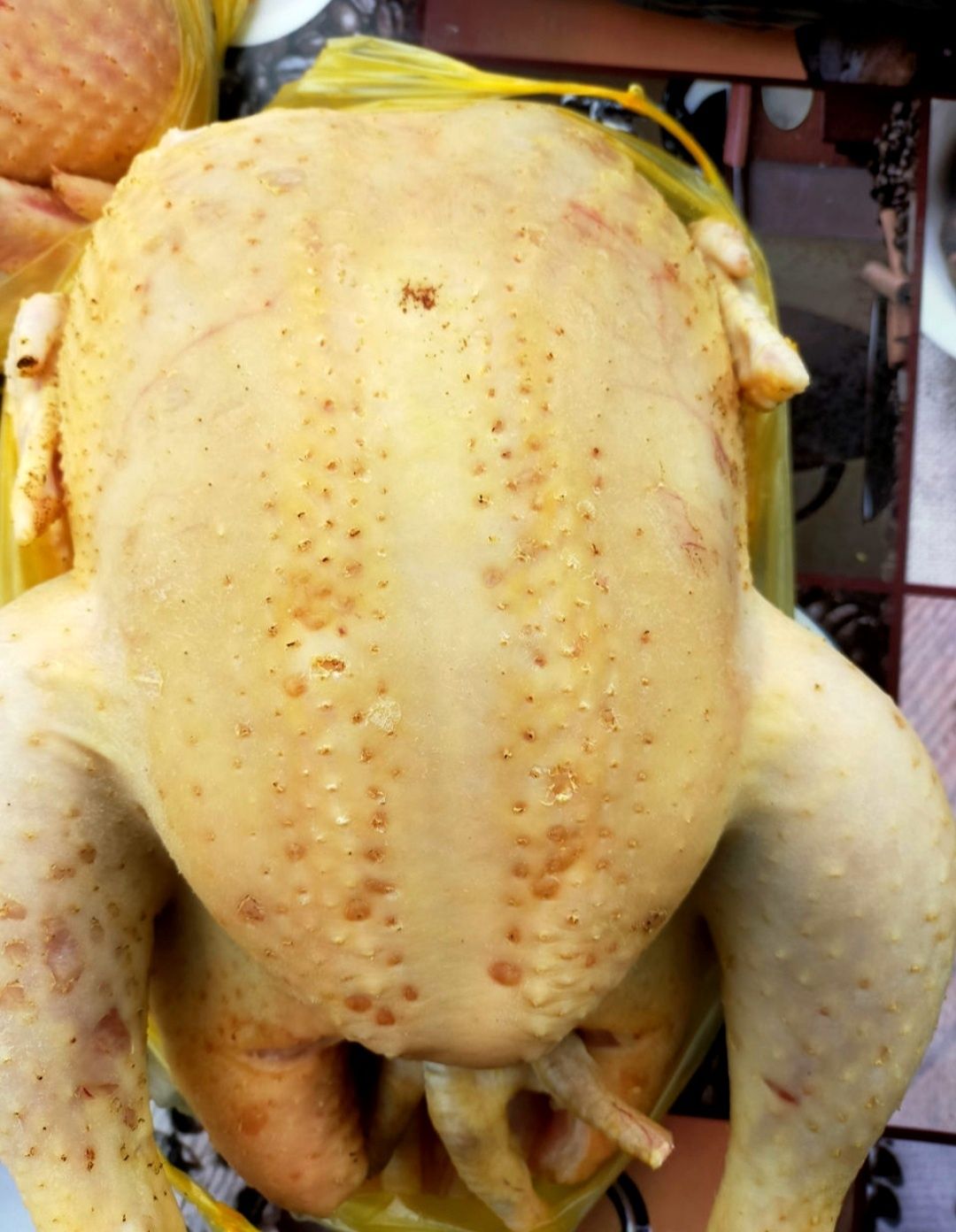 Gaini, pui, cocoși, curcani proaspeți, crescuți natural
