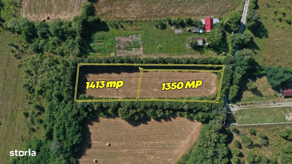 Teren de vânzare pe Valea Avrigului – locație superbă!