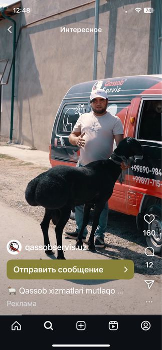 Qurbonlik, aqiqa, ehson uchun qo’ylar qassoblik xizmati