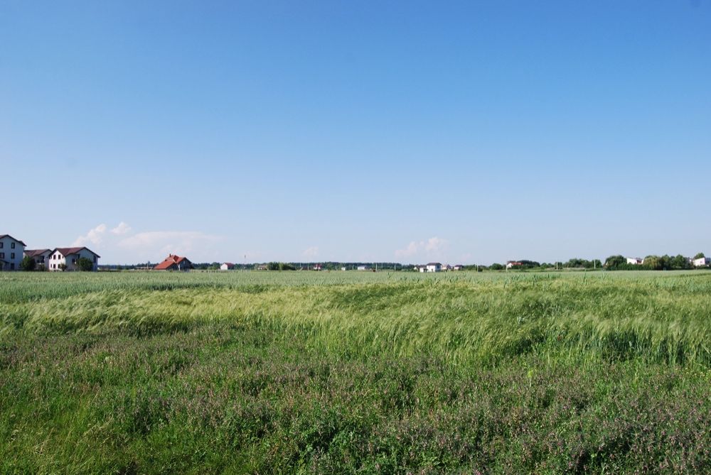 Teren superb Gulia, padure, Tartasesti, 20 km de Bucuresti