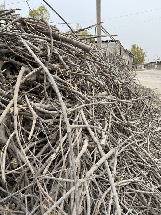 Otin,yogosh, sotiladi juda zor qolata 2 moshina shiqadi