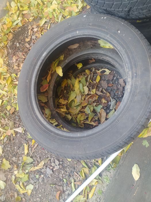 Продается шины буу